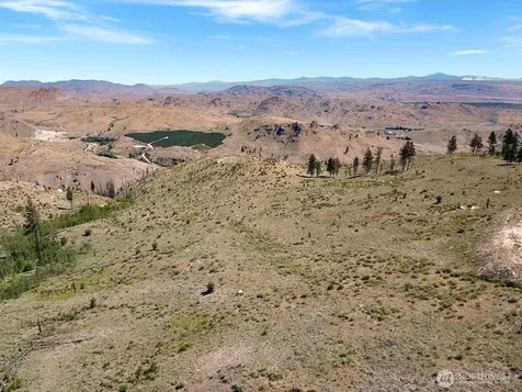 53 E Mountain Point Brewster WA 98812