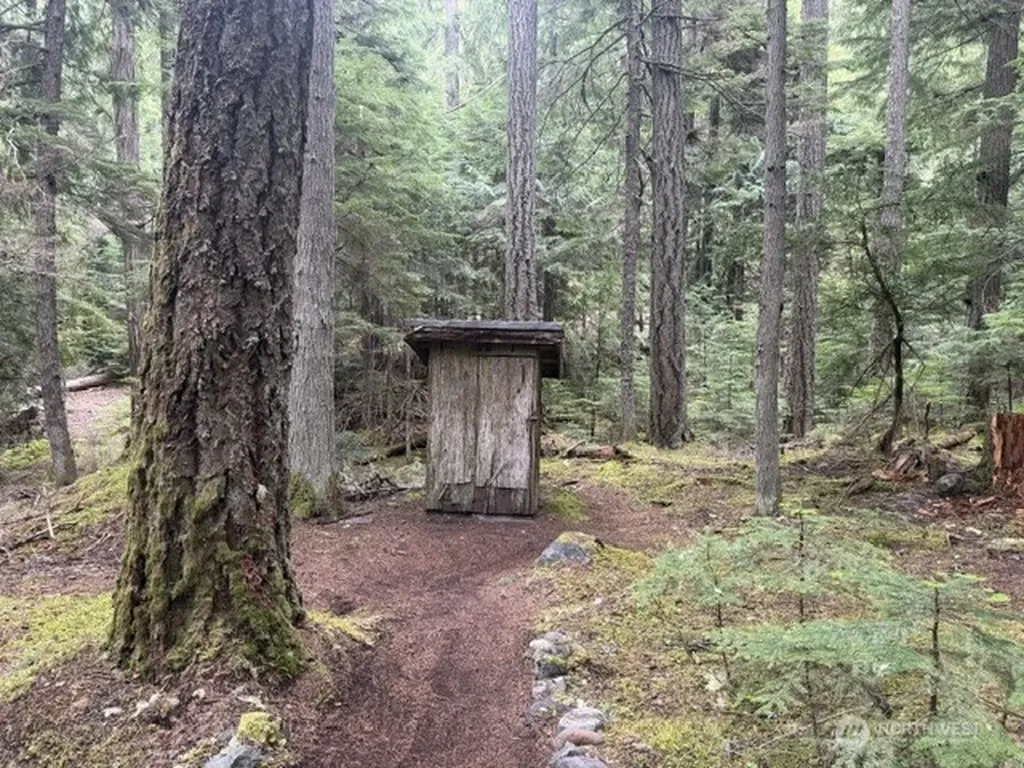 162 Silver Creek - Usfs Greenwater WA 98022