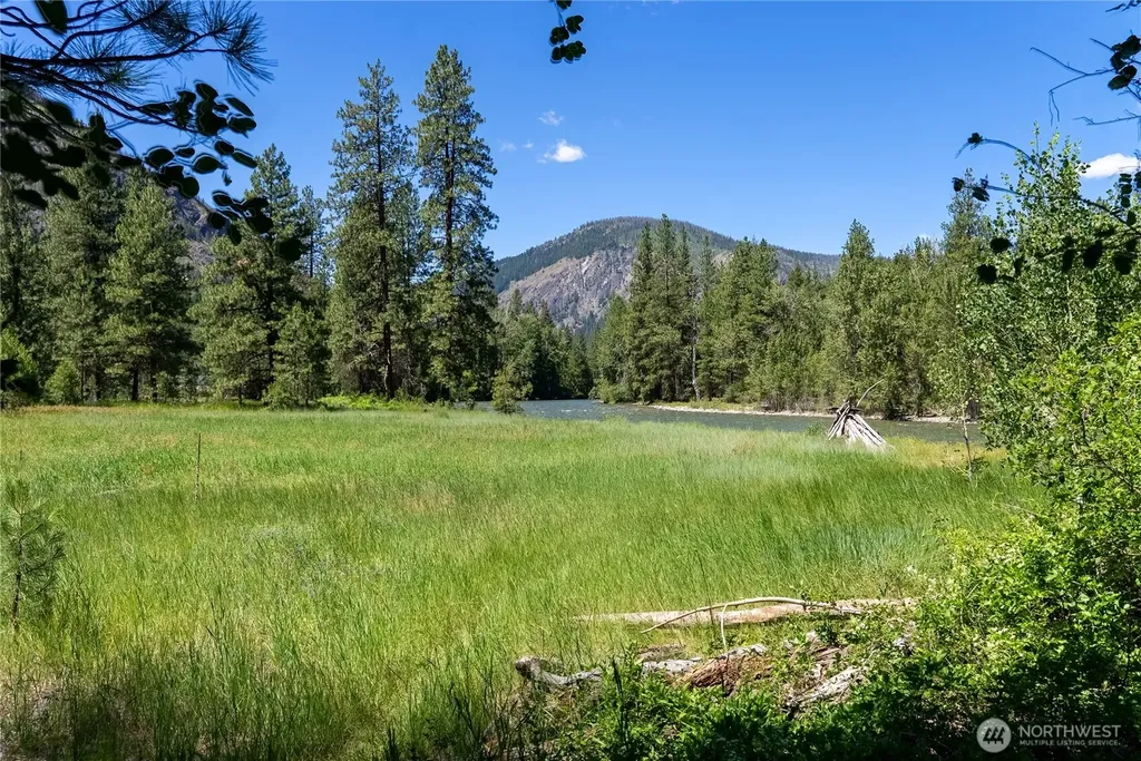 65 Mazama Pines Lane Mazama WA 98833