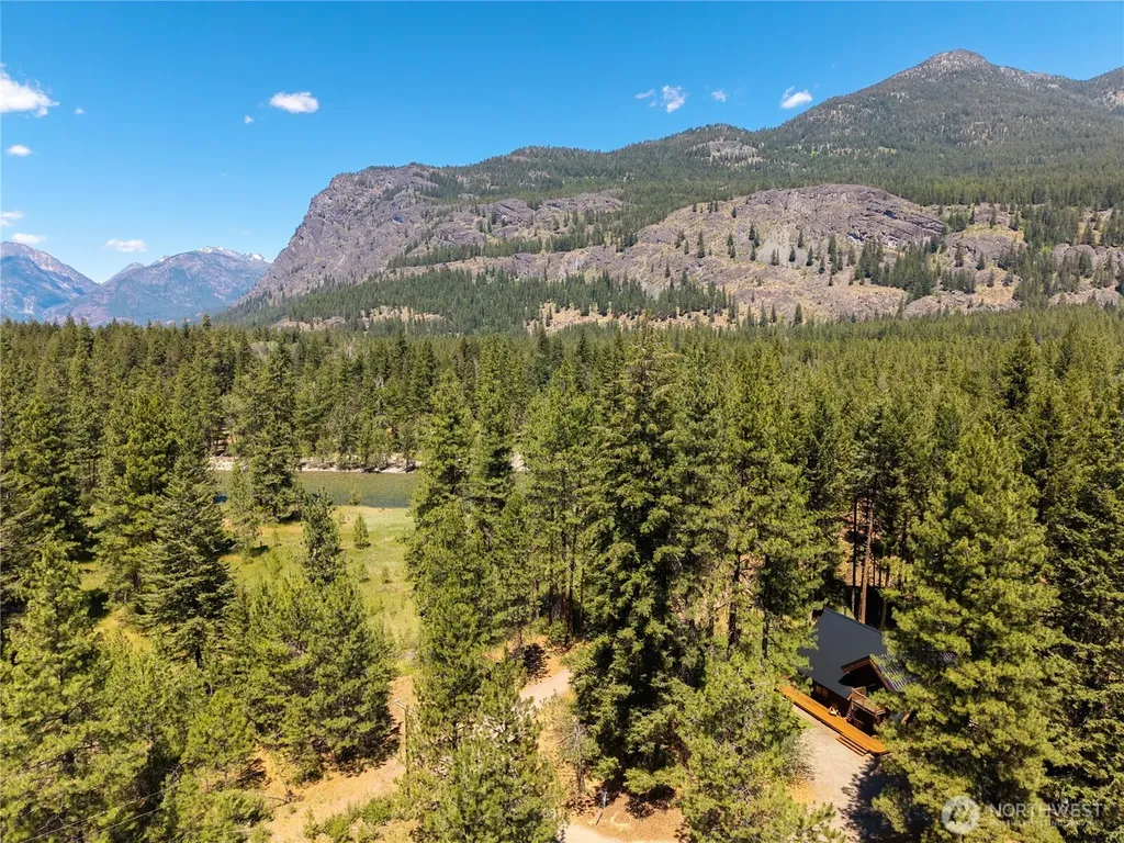 65 Mazama Pines Lane Mazama WA 98833