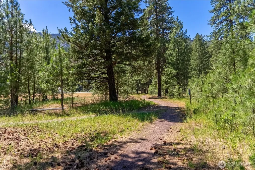 65 Mazama Pines Lane Mazama WA 98833