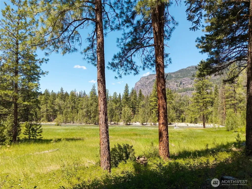 65 Mazama Pines Lane Mazama WA 98833
