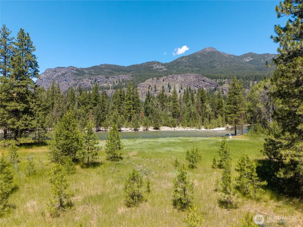 65 Mazama Pines Lane Mazama WA 98833