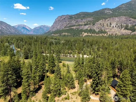 65 Mazama Pines Lane Mazama WA 98833