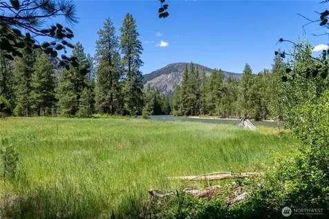 65 Mazama Pines Lane Mazama WA 98833