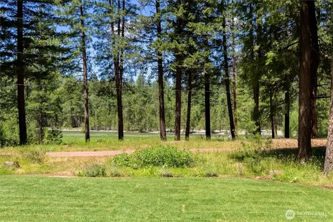 65 Mazama Pines Lane Mazama WA 98833
