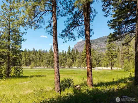 65 Mazama Pines Lane Mazama WA 98833