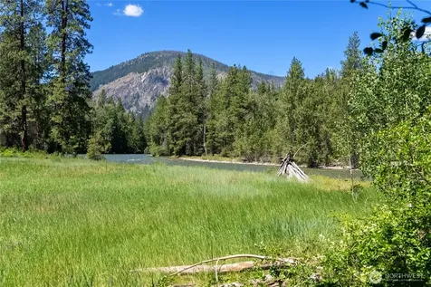 65 Mazama Pines Lane Mazama WA 98833