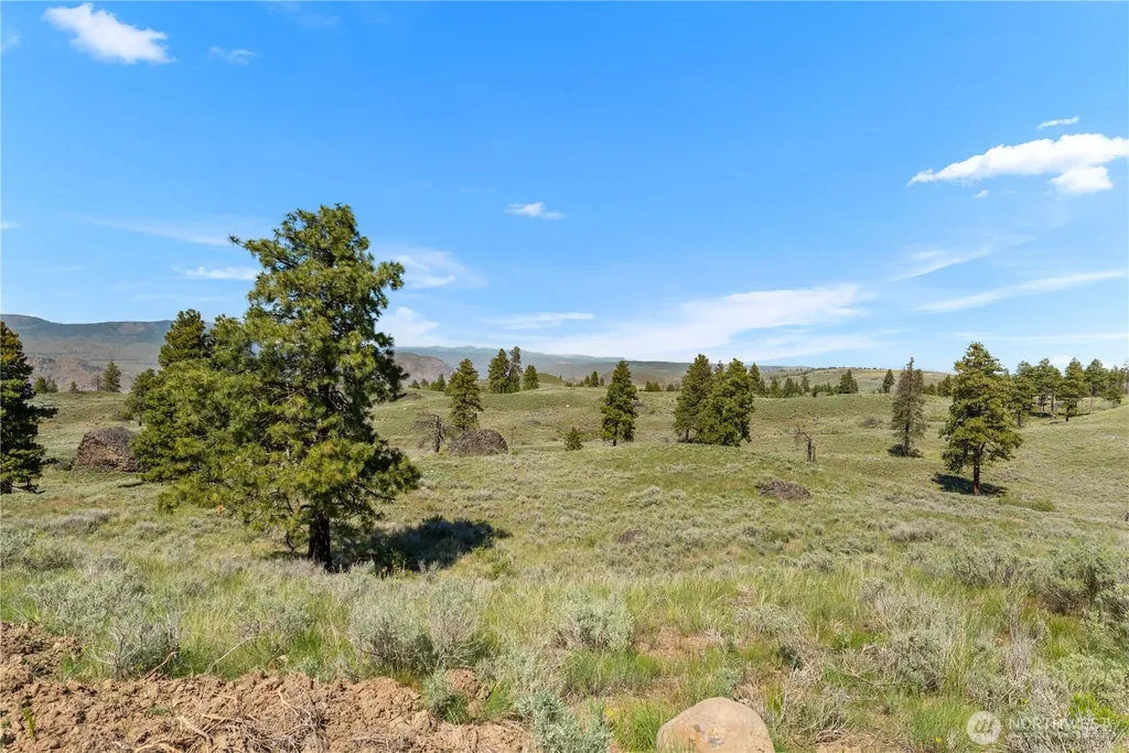 12 Columbia River Bluffs Road Chelan Falls WA 98858
