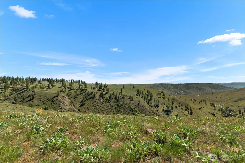 12 Columbia River Bluffs Road Chelan Falls WA 98858