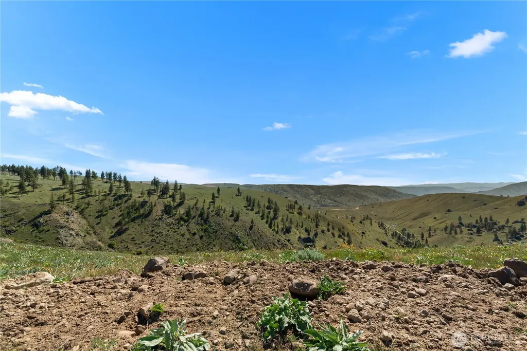 12 Columbia River Bluffs Road Chelan Falls WA 98858