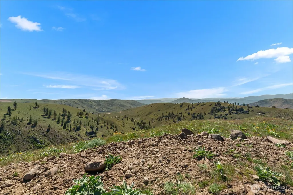 12 Columbia River Bluffs Road Chelan Falls WA 98858