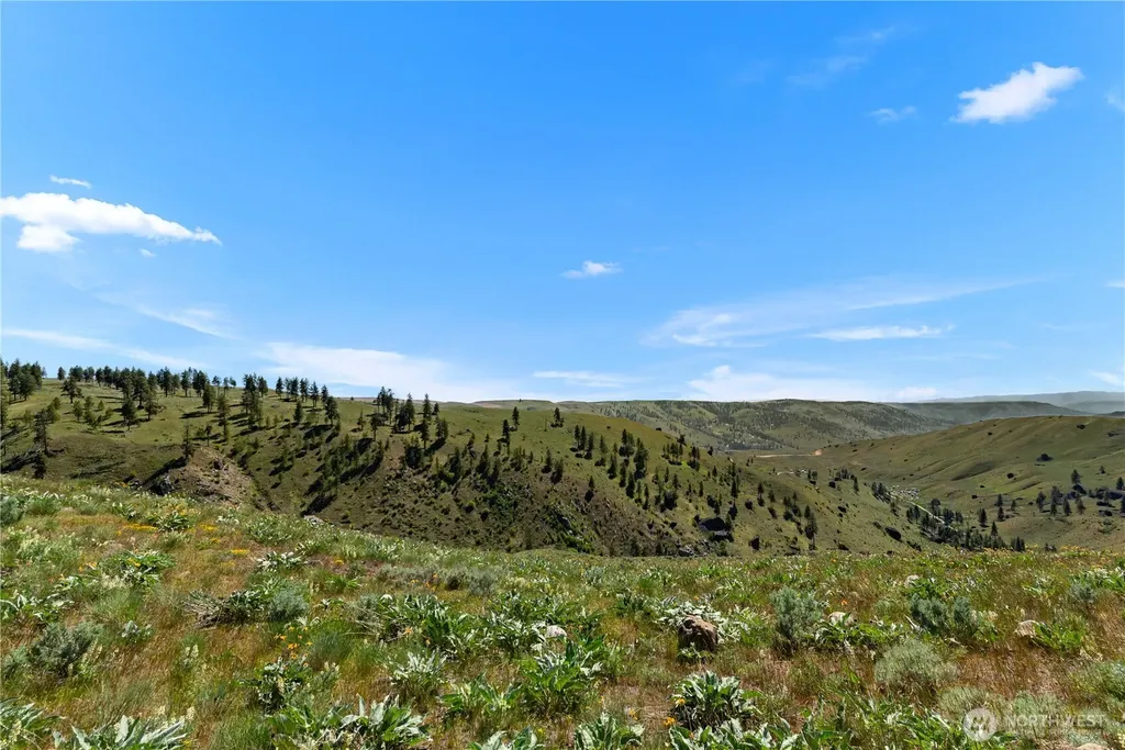 12 Columbia River Bluffs Road Chelan Falls WA 98858