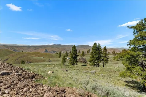 12 Columbia River Bluffs Road Chelan Falls WA 98858