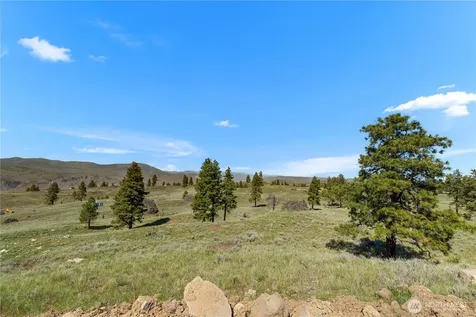 12 Columbia River Bluffs Road Chelan Falls WA 98858