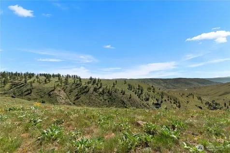 12 Columbia River Bluffs Road Chelan Falls WA 98858