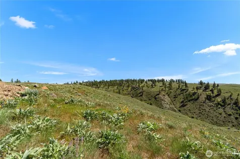 12 Columbia River Bluffs Road Chelan Falls WA 98858