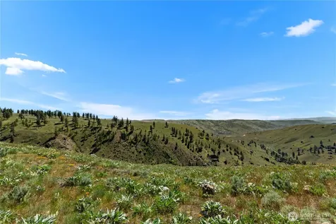 12 Columbia River Bluffs Road Chelan Falls WA 98858