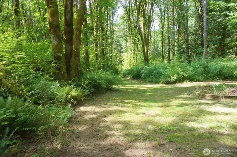 31121 403rd Drive NE Arlington WA 98223