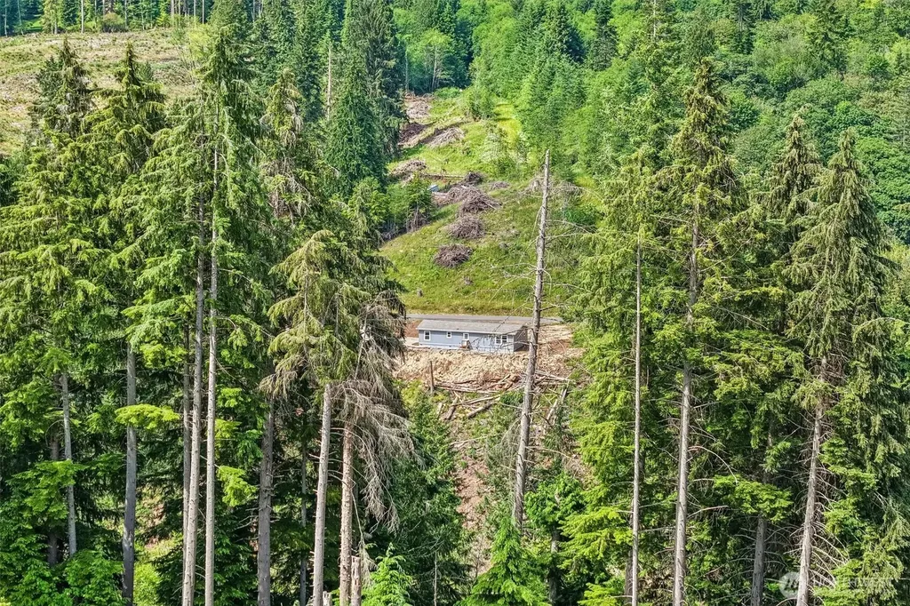 71 Whitewater Road Longview WA 98632