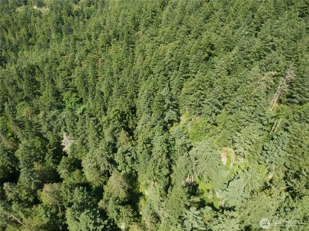 7280 Muriel Lane Anacortes WA 98221
