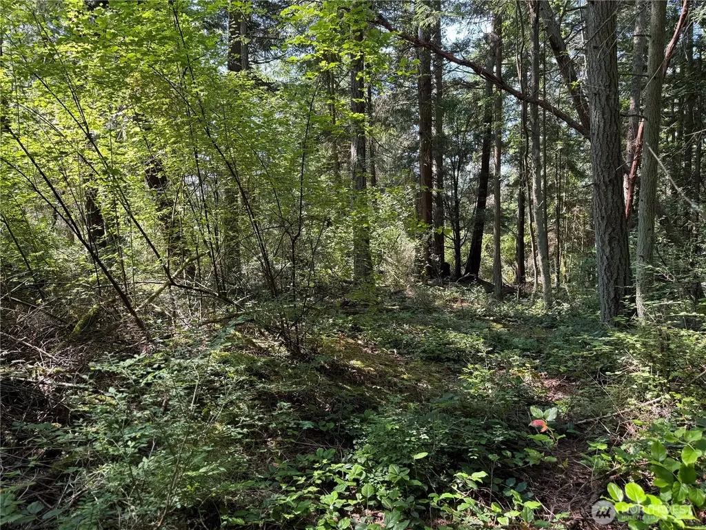 7280 Muriel Lane Anacortes WA 98221