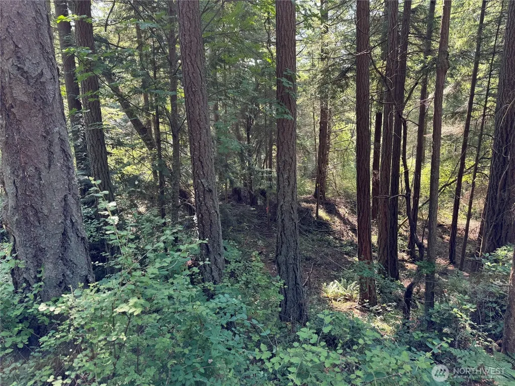 7280 Muriel Lane Anacortes WA 98221