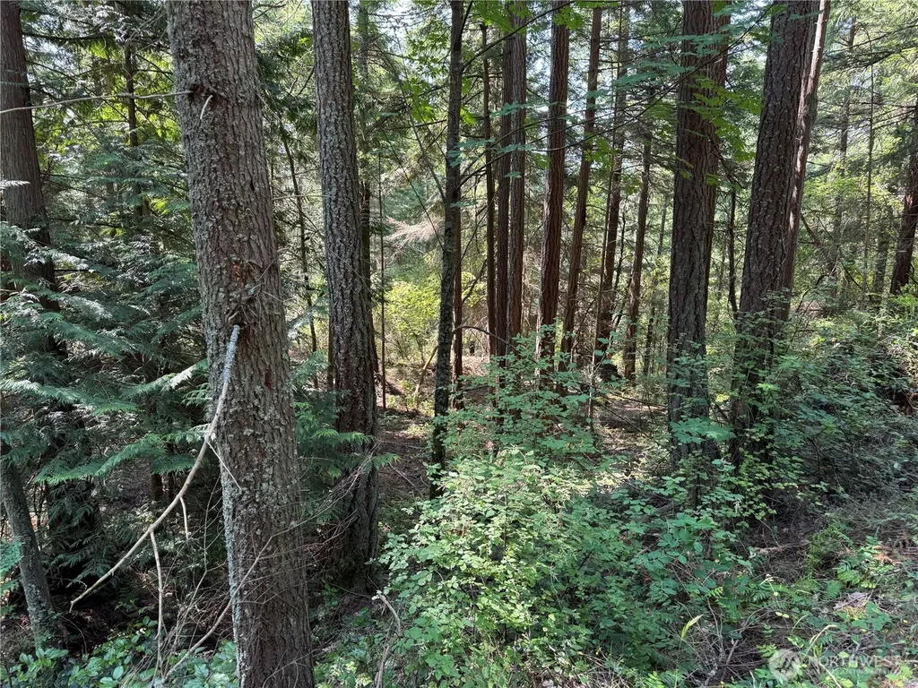 7280 Muriel Lane Anacortes WA 98221