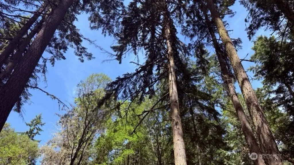 0 Fowler Park Port Townsend WA 98368