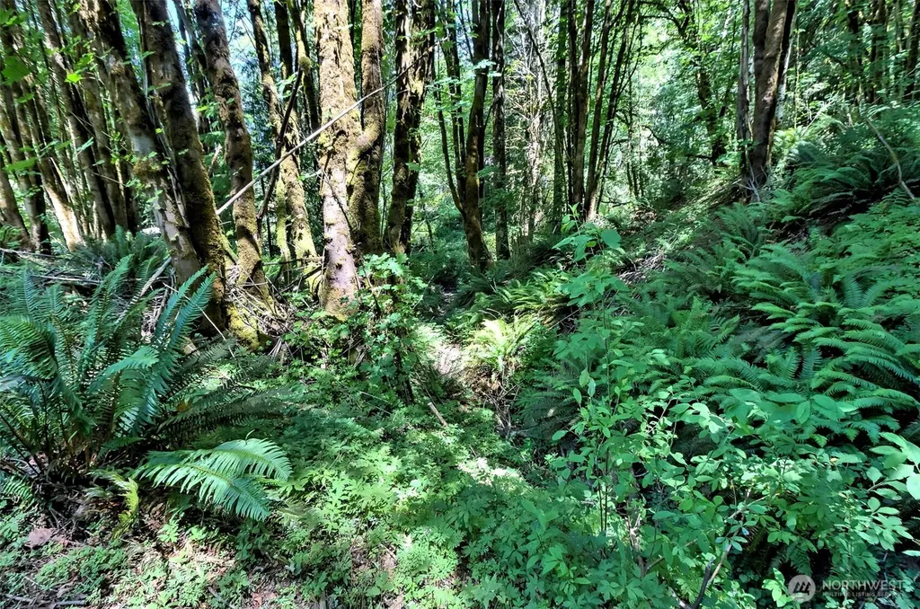 2461 W Deegan Road W Shelton WA 98584