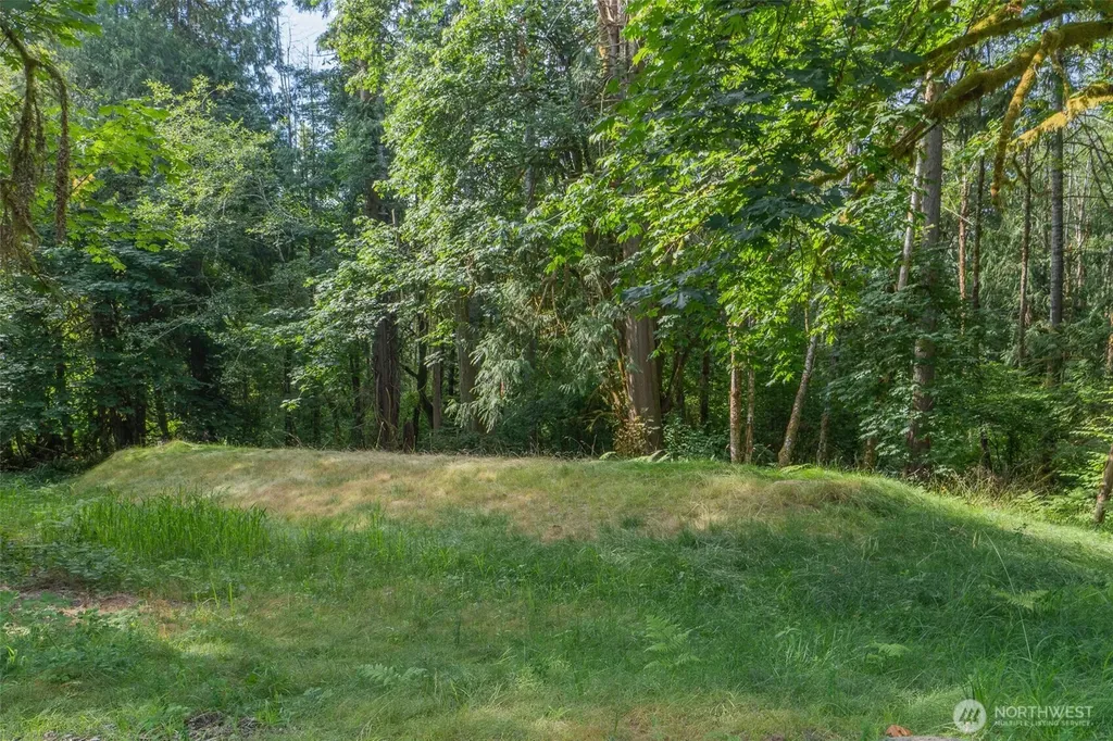 1059 E Crestview Drive Shelton WA 98584