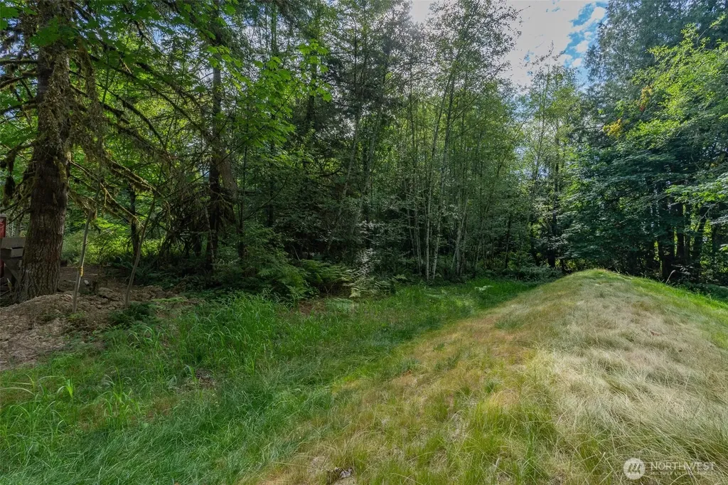 1059 E Crestview Drive Shelton WA 98584
