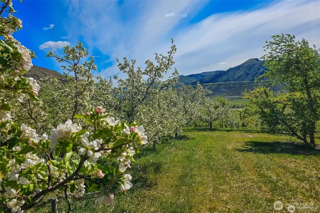 3710 Stayman Flats Road Chelan WA 98816