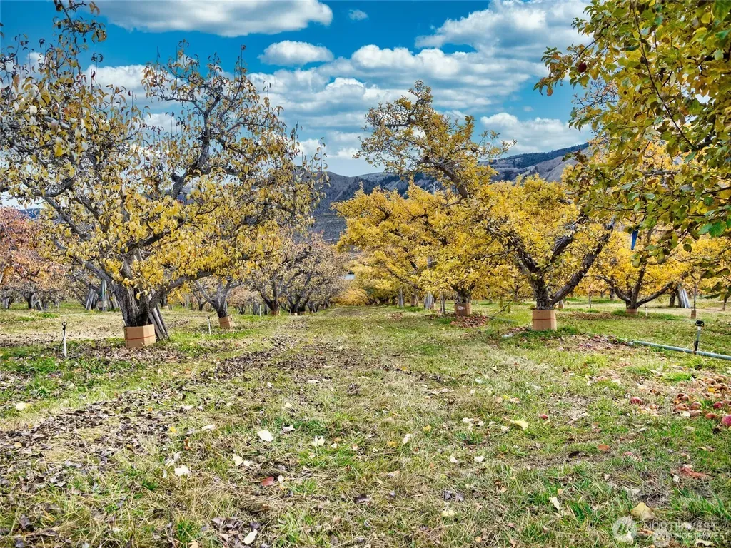 3710 Stayman Flats Road Chelan WA 98816