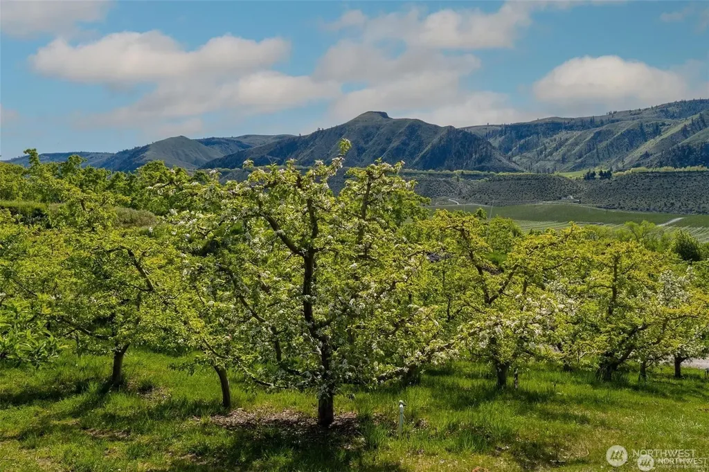 3710 Stayman Flats Road Chelan WA 98816