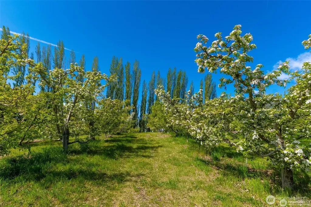 3710 Stayman Flats Road Chelan WA 98816