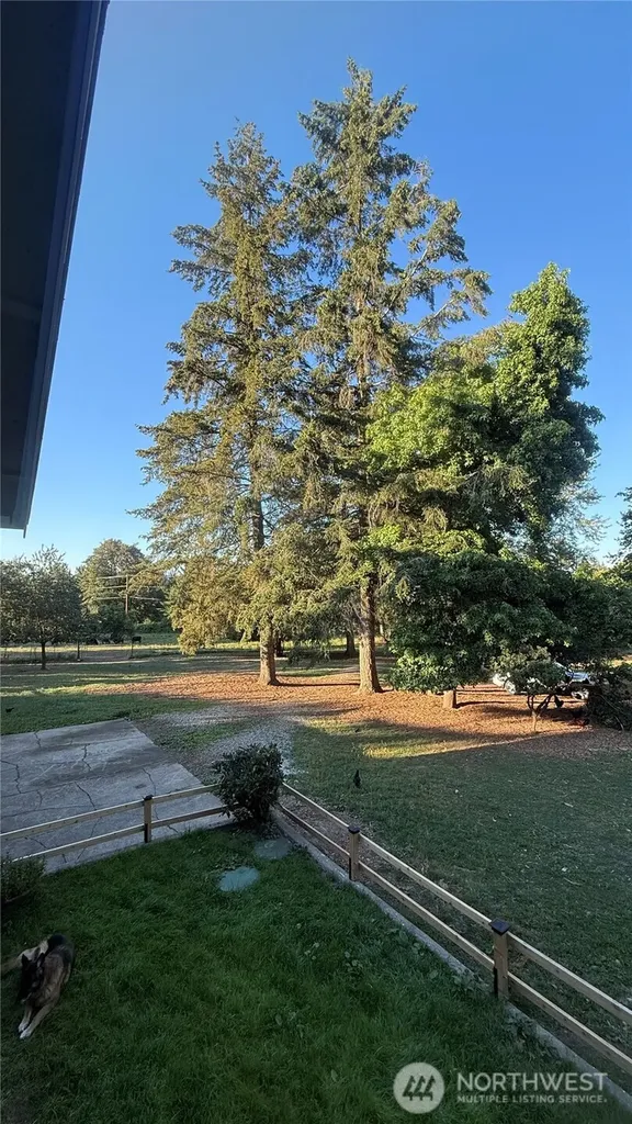 22045 Peter Grubb Road SE Renton WA 98058