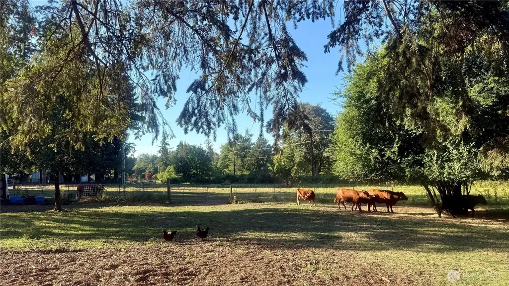 22045 Peter Grubb Road SE Renton WA 98058