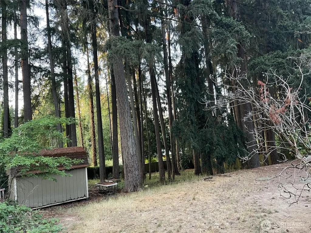 6928 20th Avenue SE Lacey WA 98503