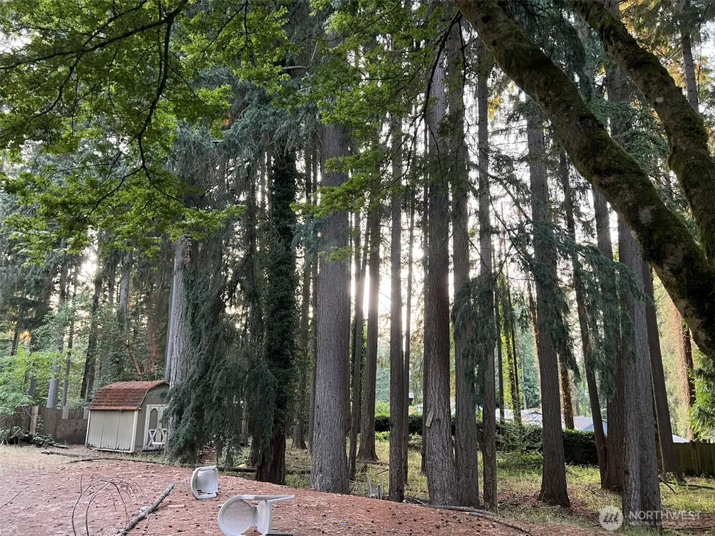 6928 20th Avenue SE Lacey WA 98503