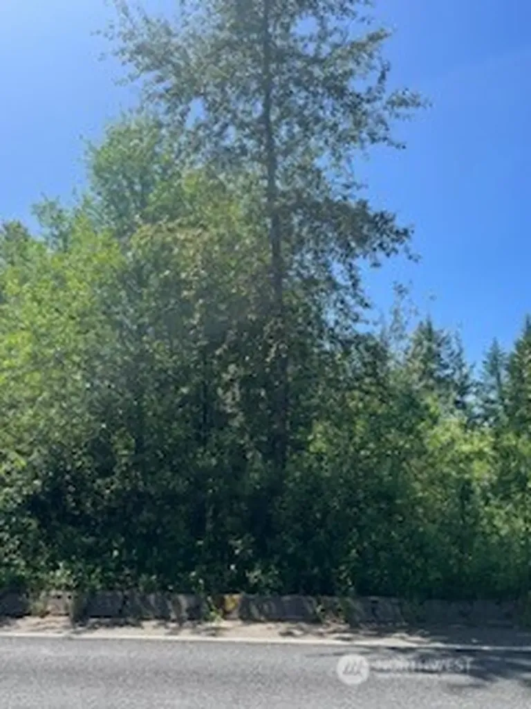 0 Lilly Road NE Olympia WA 98506