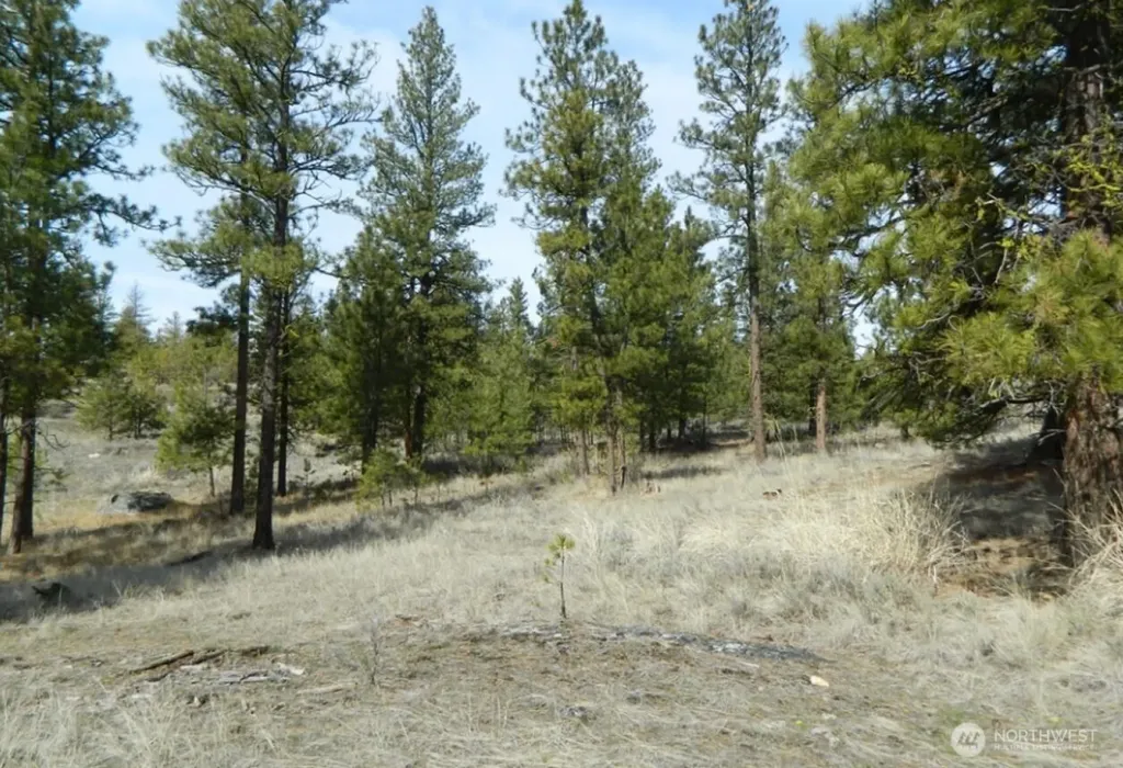 280 Reevas Basin Road Tonasket WA 98855
