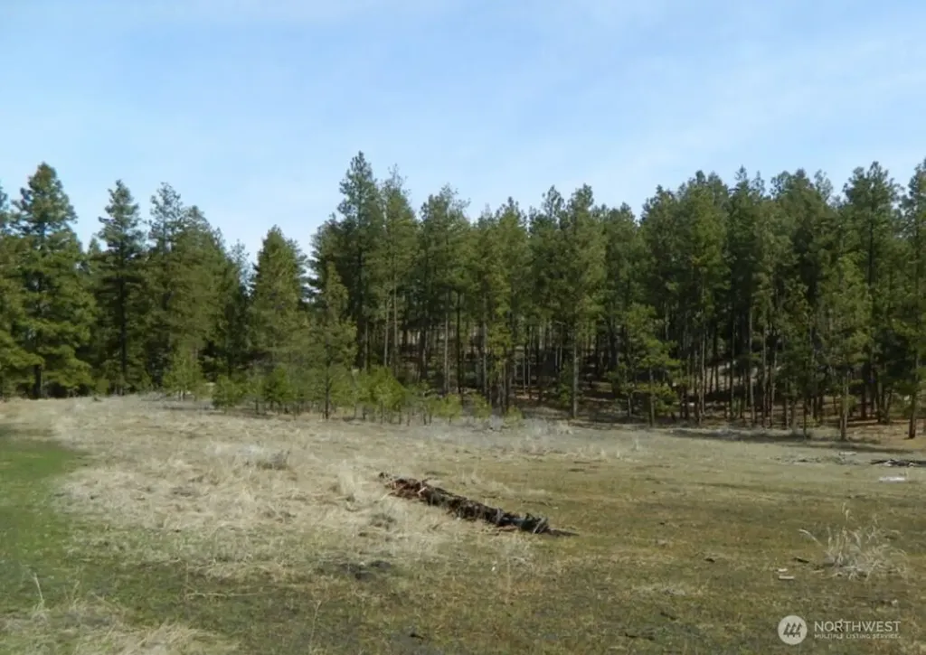 280 Reevas Basin Road Tonasket WA 98855