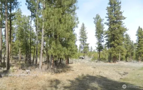 280 Reevas Basin Road Tonasket WA 98855