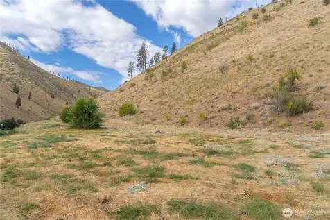 5058 Mills Canyon Road Entiat WA 98822