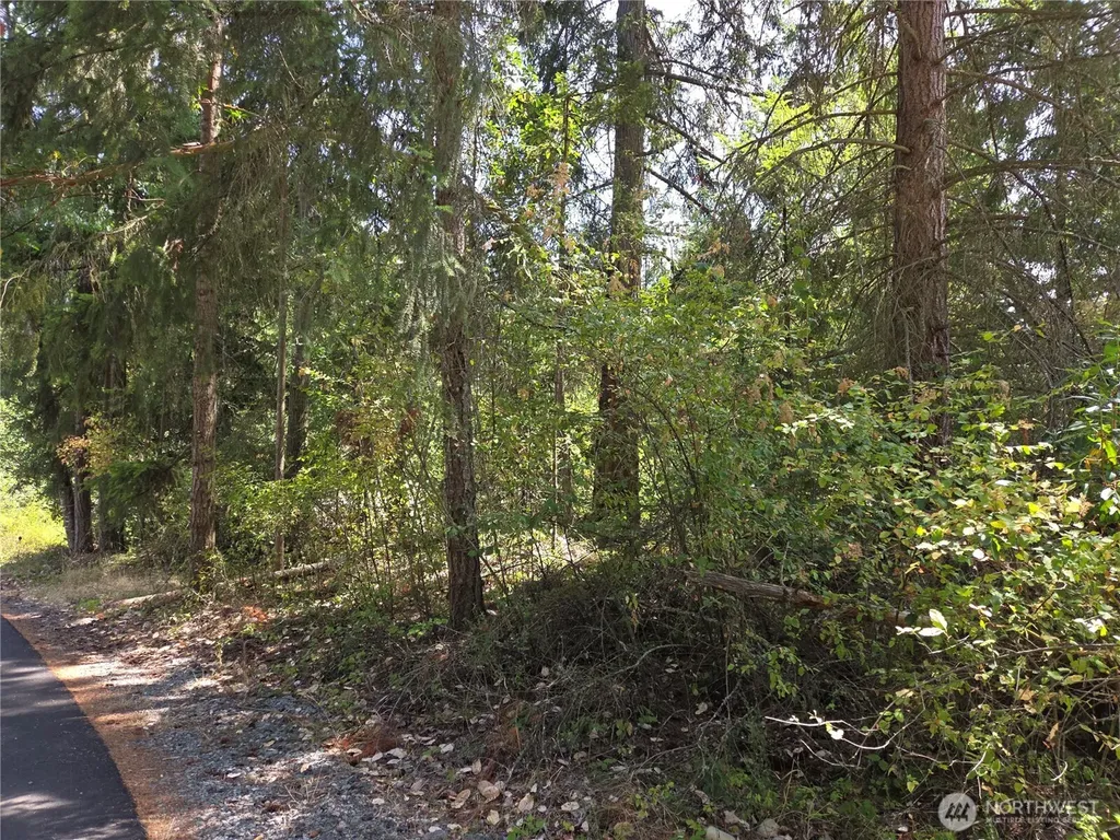 22137 Clear Lake Boulevard SE Yelm WA 98597