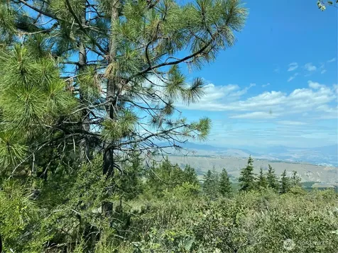 0 Big Springs Ranch Road Malaga WA 98828