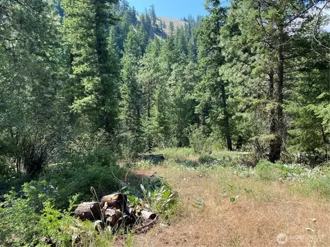 0 Big Springs Ranch Road Malaga WA 98828