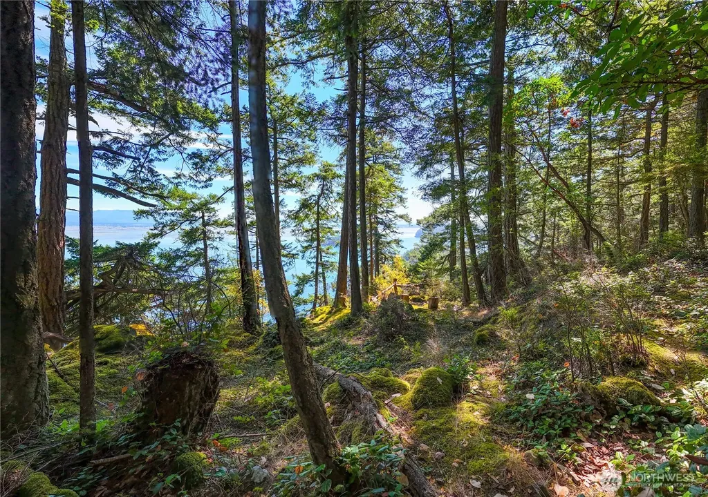 7121 Island View Drive Anacortes WA 98221