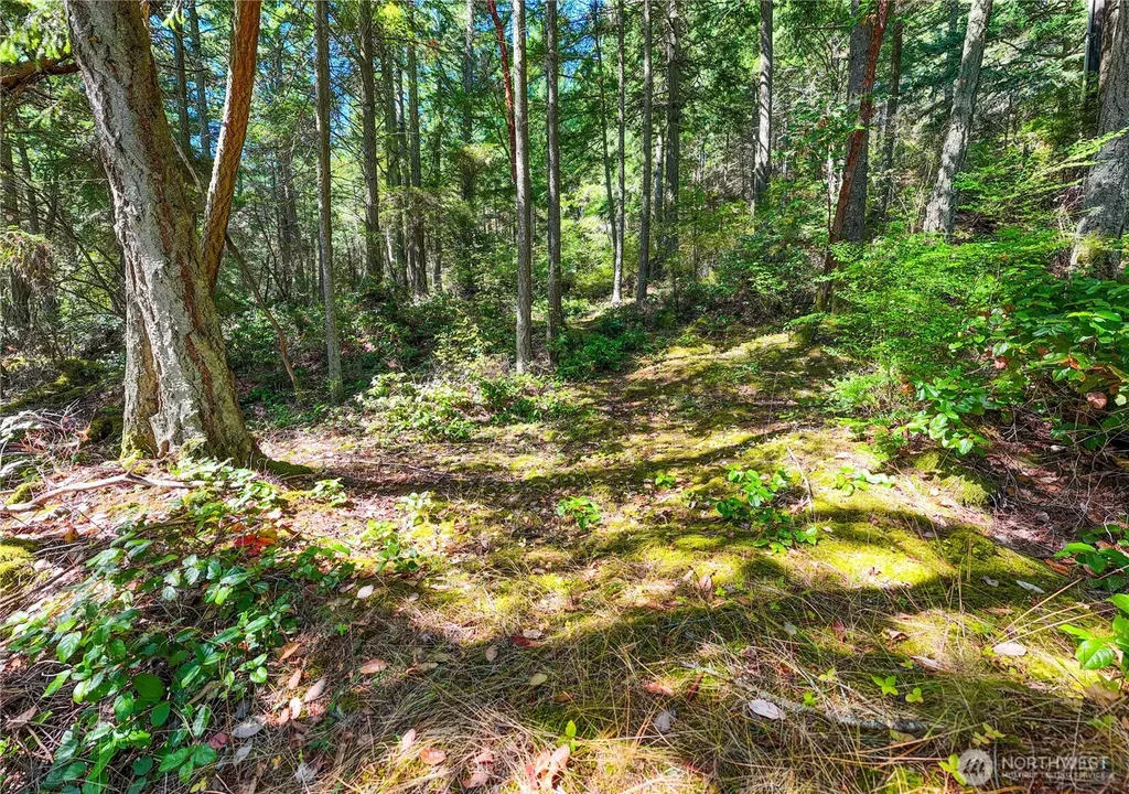 7121 Island View Drive Anacortes WA 98221